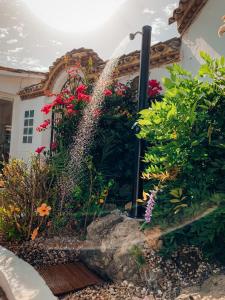 马贝拉贾迪勒斯女王精品B&B酒店的鲜花屋前的喷泉