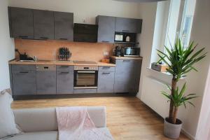 森夫滕贝格PB Ferienwohnungen - FeWo 2 - Stilvoll eingerichtetes Apartment im Herzen Senftenbergs的一间带不锈钢用具和白色沙发的厨房