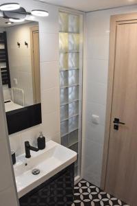 拉斐那Seaside Studio Meltemi的一间带水槽、镜子和淋浴的浴室