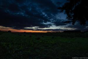 VardaracPannonia Terranova的黑暗天空的田野上的日落