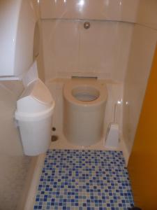 沙勒罗瓦典雅生态酒店的一间浴室