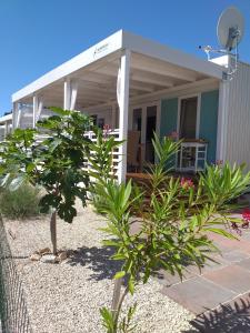 耶泽拉Mobile Homes Albatross的前面有植物门廊的房子