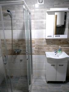 索科矿泉村Apartmani Java的带淋浴、盥洗盆和镜子的浴室