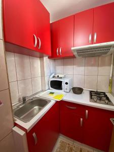 康斯坦察Faleză nord的一个带红色橱柜和水槽的小厨房
