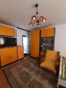 索科矿泉村Apartmani Perovic的客厅配有橙色橱柜和沙发