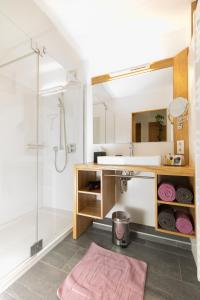 HoritschonIBY-LEHRNER WEIN-GUT und WEIN-Träumerei的一间带水槽和淋浴的浴室