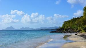 Rivière-PiloteDany Lodge - Spacieux T2 à 5 minutes de la plage en voiture的相册照片