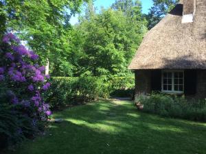 HeerdeLandgoedhoeve Vosbergen的一座花园,花园内有茅草屋和紫色的鲜花