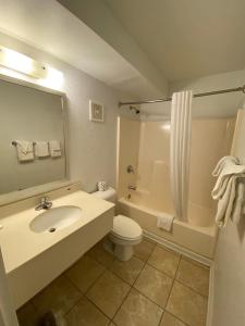 斩魔山外滩酒店的一间带水槽、卫生间和淋浴的浴室