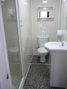 布莱克浦海布里酒店的浴室配有卫生间、盥洗盆和淋浴。