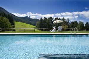 卡斯特尔罗托Hotel Chalet Tianes - Alpine Relax的水中有两个天鹅的游泳池