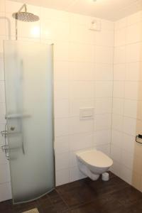菲奈斯达伦Berggatan Villa - lägenhet 2的一间带卫生间和玻璃淋浴间的浴室