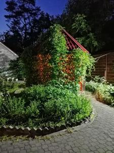 德米特罗夫四冠酒店的房屋边有红花的灌木丛