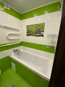 日托米尔Apartment in the center的带浴缸的绿色和白色浴室