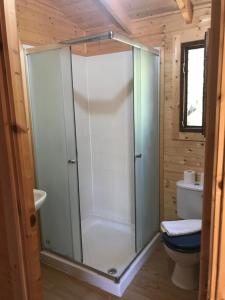 Glamorous Cabin on a Farm的一间浴室