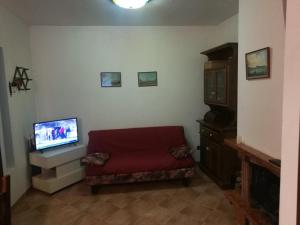阿尔费德纳Casa Corone的客厅配有红色沙发和平面电视