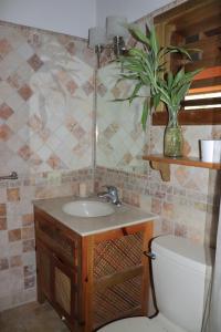 西湾Hotel Posada Seremein Roatan的一间带水槽、卫生间和植物的浴室