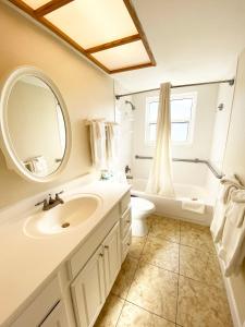 圣徒皮特海滩海畔卡米洛特酒店的一间带水槽、卫生间和镜子的浴室
