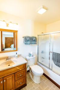 Moose Pass燕鸥湖旅馆的浴室配有卫生间水槽和淋浴。