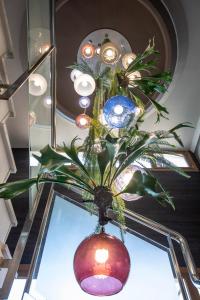巴绍里阿尔米内酒店的玻璃桌上一个花瓶和植物
