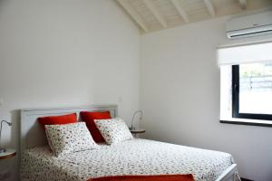 São CaetanoCasa dos Botes - WhaleBoat House TER的一间卧室配有一张带红色枕头的床和一扇窗户
