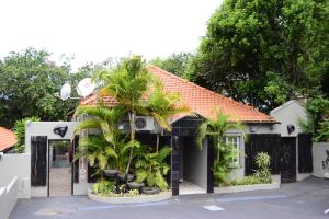 德班拉勒萨旅馆的前面有棕榈树的房子