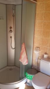 MilašaičiaiZemaite truoba的带淋浴、卫生间和盥洗盆的浴室