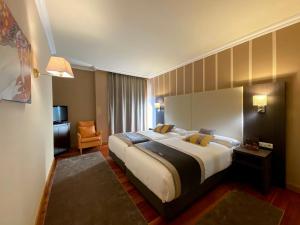 巴绍里阿尔米内酒店的酒店客房带一张大床和一把椅子