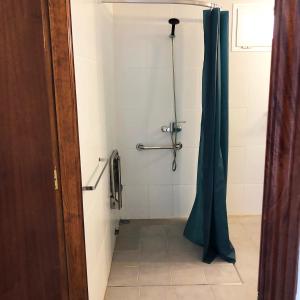 科蒂略科蒂略海景公寓的带淋浴和浴帘的浴室