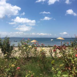 埃尔代克VİLLA FUAT的海滩上设有遮阳伞,海面背景
