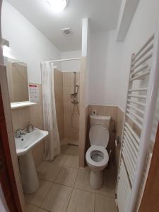 布拉索夫特里萨之家酒店的一间带卫生间和水槽的小浴室