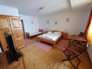 布拉索夫特里萨之家酒店的一间卧室配有一张床和一台电视。