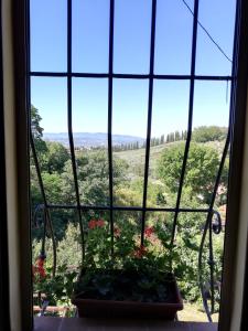福利尼奥C&C Il Treggio的享有田野和树木景致的窗户