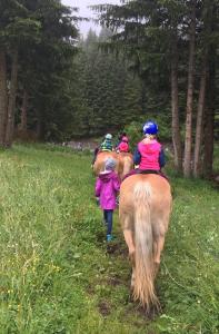 皮茨河谷阿兹尔Apart Ferienraich的一群在田野上骑马的孩子