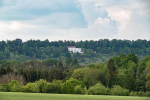 施奈赫普费弗堡酒店的一座白色的建筑,位于一座树木繁茂的山顶上