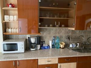 克利默内什蒂Apartament Aqua的厨房柜台配有微波炉和水槽