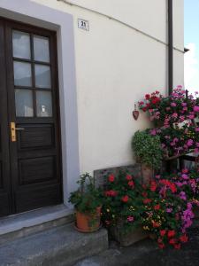兰佐莫蒂坎塞Appartamento Novecento的通往台阶上鲜花盛开的房子的门