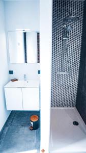 HerveLes gîtes de Bouxhmont的带淋浴、白色水槽和淋浴的浴室