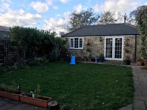 依尔福cosy cottage annex in Fairlop的草上一个蓝色物体的后院