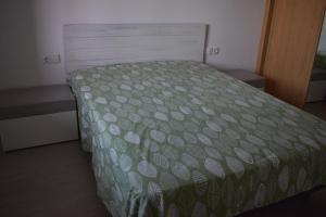 阿尔么丽亚COSTA DE ALMERIA PLAYA的一间卧室配有一张带绿色棉被的床
