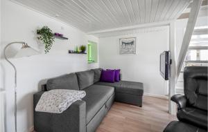 尤尔斯明讷Pet Friendly Home In Juelsminde With Wifi的带沙发和电视的客厅