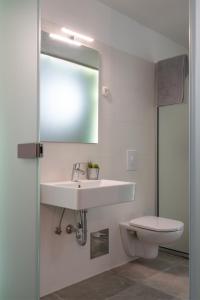 佩罗杰Moderno 3 Casa Vecchia的一间带水槽、卫生间和镜子的浴室