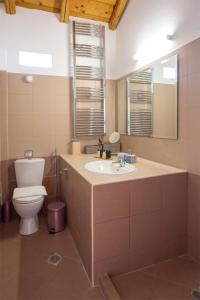 SfendoúrionAegina Colors的一间带卫生间、水槽和镜子的浴室