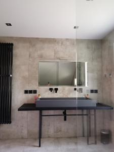 巴德伊舍Villa Bertholini的一间带水槽和镜子的浴室