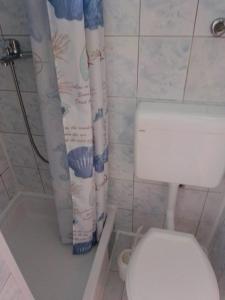 卡尔卢巴格MIRO2的一间带卫生间和淋浴帘的浴室