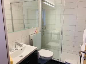 采尔马特伊兰公寓度假屋的带淋浴、卫生间和盥洗盆的浴室