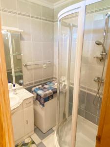 巴拉顿菲赖德弗里的公寓酒店的带淋浴、卫生间和盥洗盆的浴室