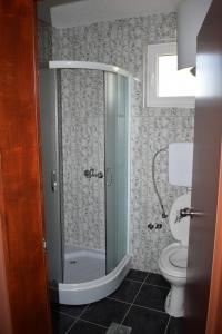 大格拉迪什泰Srebrna Nit的带淋浴和卫生间的浴室