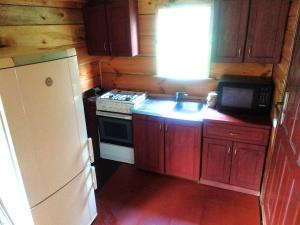 斯维季亚济Будиночок у затишку的小厨房配有白色冰箱和微波炉