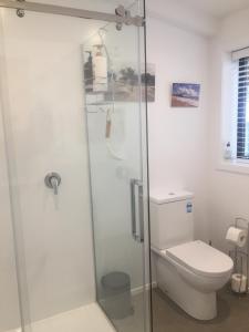 莫图伊卡Glenwai的一间带卫生间和玻璃淋浴间的浴室